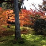 三千院