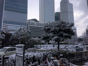 IMG_0284